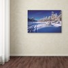 Trademark Fine Art Philippe Sainte-Laudy 'Arctic Nature' Canvas Art, 16x24 PSL01087-C1624GG